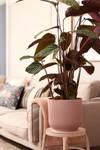vibes fold rond roues 35cm rose poudré